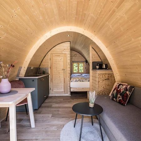 Luxe Woodlodge In Een Prachtige En Bosrijke Omgeving Bornerbroek Extérieur photo