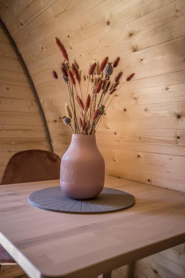 Luxe Woodlodge In Een Prachtige En Bosrijke Omgeving Bornerbroek Extérieur photo